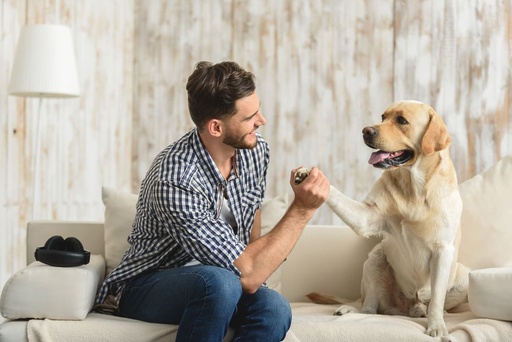 Comportementaliste Canin